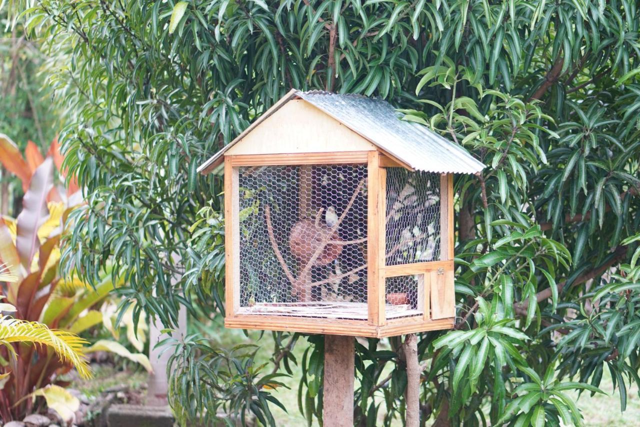 Nature World Jungle Paradise Udawalawe Ngoại thất bức ảnh
