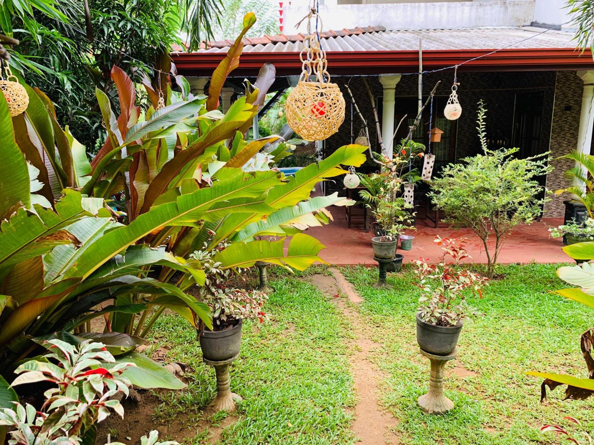 Nature World Jungle Paradise Udawalawe Ngoại thất bức ảnh