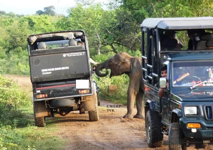 Nature World Jungle Paradise Udawalawe Ngoại thất bức ảnh