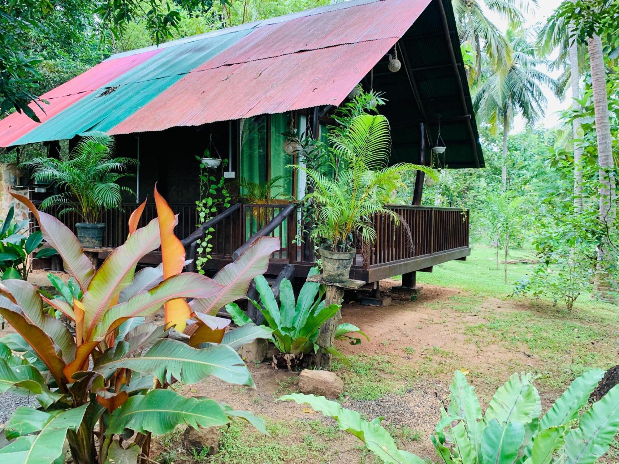 Nature World Jungle Paradise Udawalawe Phòng bức ảnh