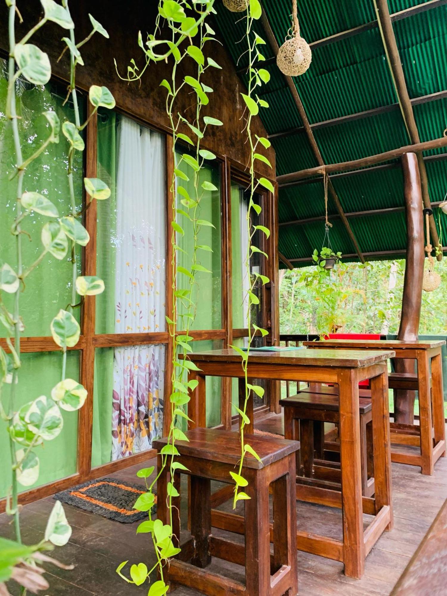 Nature World Jungle Paradise Udawalawe Phòng bức ảnh