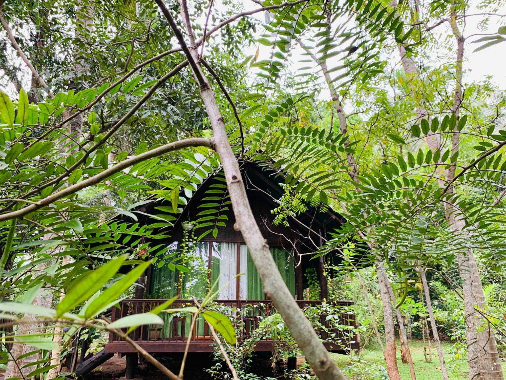 Nature World Jungle Paradise Udawalawe Ngoại thất bức ảnh